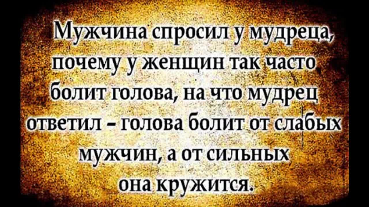 Статусы от мудрейших людей Статусы от мудрейших людей