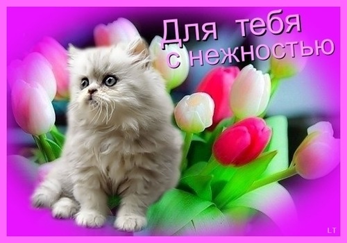 Открытки на день рождения с девушками Открытки на день рождения с девушками