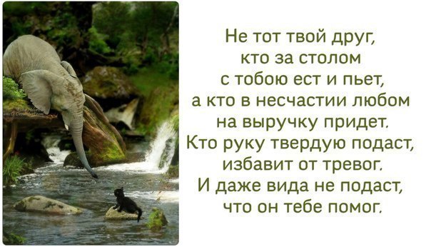 Женские духи купить лучшую женскую парфюмерию в интернет Детские товары, детские игрушки, товары для детей