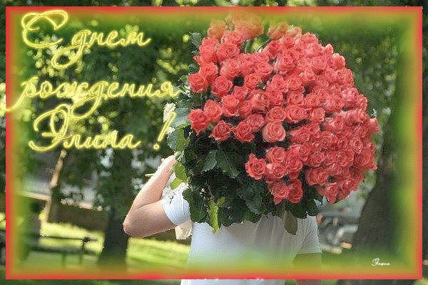 С днем рождения поздравления элина