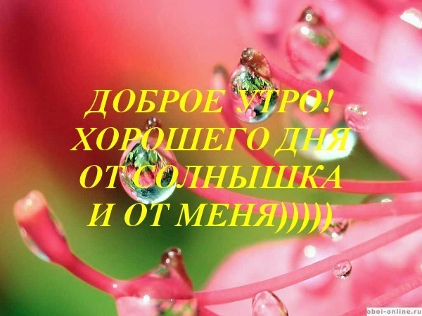 http://f2.mylove.ru/1KljhbJ7NW.jpg