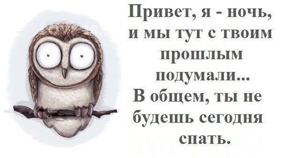 Смешные статусы ночью Смешные статусы ночью
