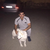 vusal, 33, г.Сумгаит vusal, 33, г.Сумгаит
