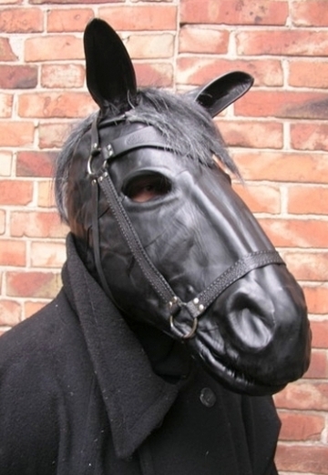 конь в пальто (@sicam) — моя фотография № 13