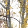 Аня, 24, г.Торецк Аня, 24, г.Торецк