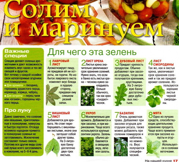 что дают дубовые листья при засолке огурцов рекомендуют