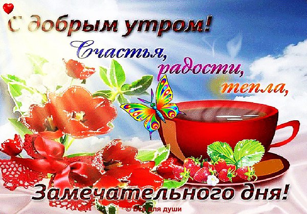 С возрастом появляются красные родинки на теле С возрастом появляются красные родинки на теле