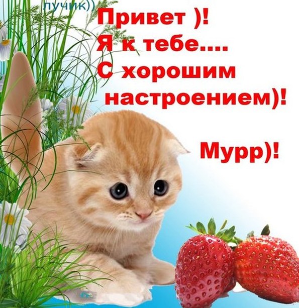 Поздравления с днём рождением внука 15