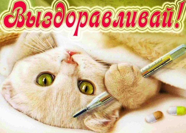 Мои открытки выздоравливай Мои открытки выздоравливай