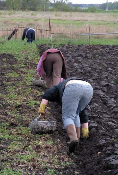 Я пошла на огород или в огороде Я пошла на огород или в огороде