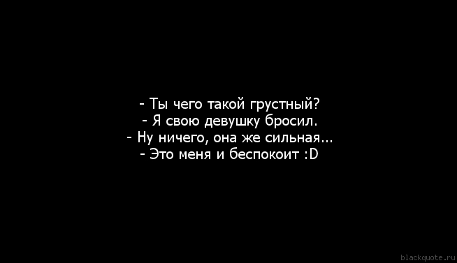 Собаки пекинесы стрижки фото Собаки пекинесы стрижки фото