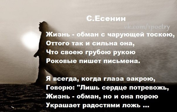 Есенин стих смысл жизни Есенин стих смысл жизни
