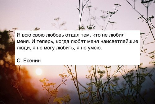Отдам всю свою любовь стих Отдам всю свою любовь стих