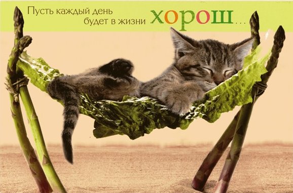 Открытки хорошего дня с приколами Открытки хорошего дня с приколами
