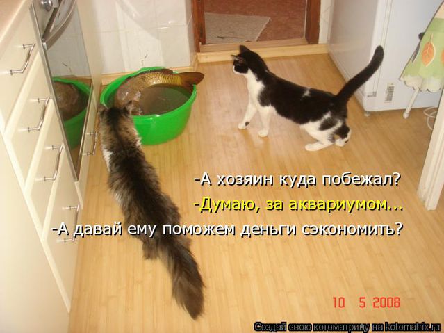 Ещё один вариант изготовления парика или (тресса) для кукол Вязаные пуловеры, свитера и джемпера для мужчин