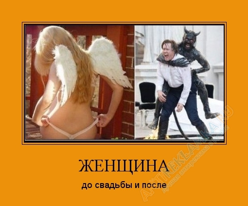 Кто против секса до свадьбы Кто против секса до свадьбы