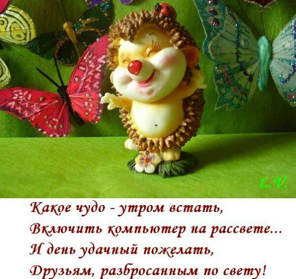 Проститутки Москвы - элитные путаны, дешёвые шлюхи, реальные Картинки Открытки Праздники Анимашки, картинки, открытки