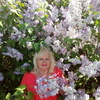 Светлана, 65, г.Гомель Светлана, 65, г.Гомель