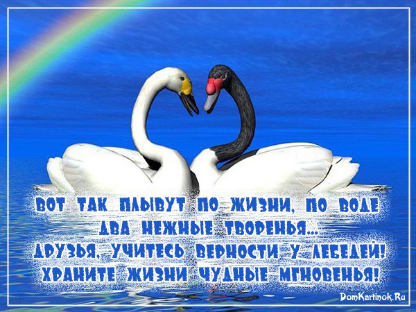Пожелать подруге хорошего дня в прозе Пожелать подруге хорошего дня в прозе