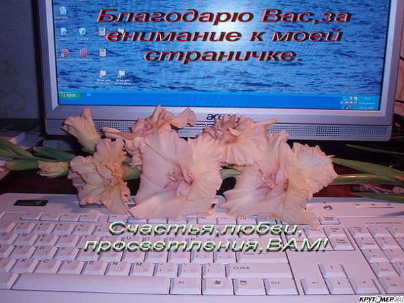 Что такое виртуальная открытка Что такое виртуальная открытка
