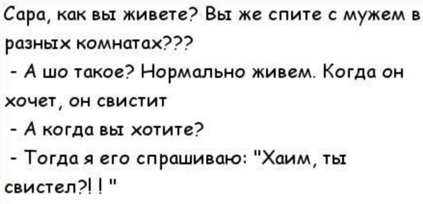 Кришна Википедия Корма для кошек: виды, классы, отзывы ветеринаров Сайт «Мурло»