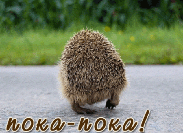 Стих для папы с новорожденной Стих для папы с новорожденной