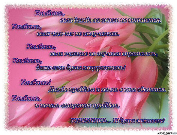 Что вы ждете от свадьбы Что вы ждете от свадьбы