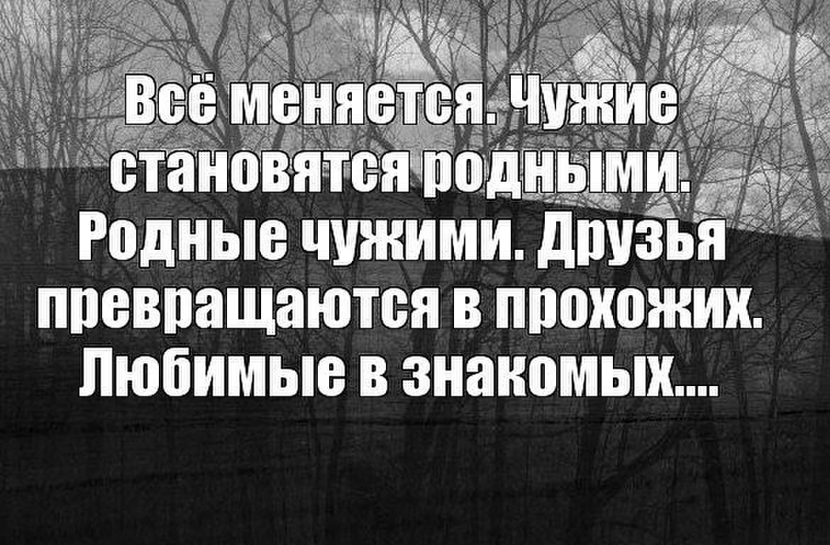 Стих ты подарил мне розу красную Стих ты подарил мне розу красную