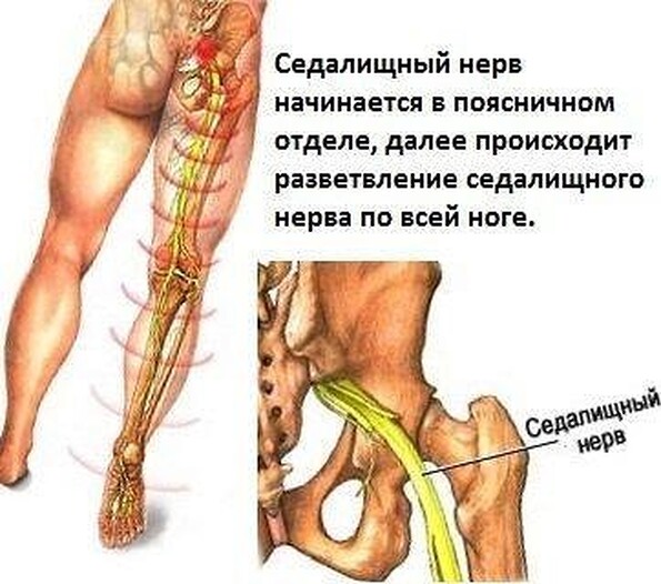 Как сделать нервы очень сильными Как сделать нервы очень сильными