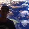 Vasilliy, 43, г.Вустер Vasilliy, 43, г.Вустер