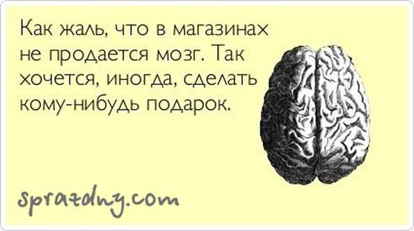 Жаль не могу подарить Жаль не могу подарить