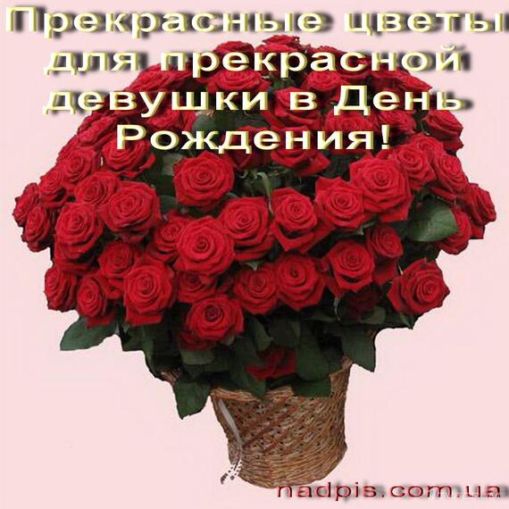 Теплое поздравление с днем рождения девушке Теплое поздравление с днем рождения девушке
