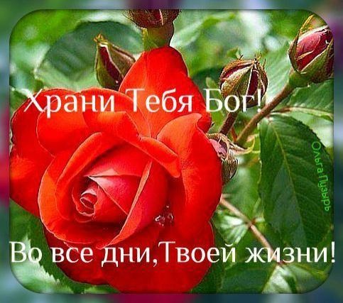 С самым твоим прекрасным днём С самым твоим прекрасным днём