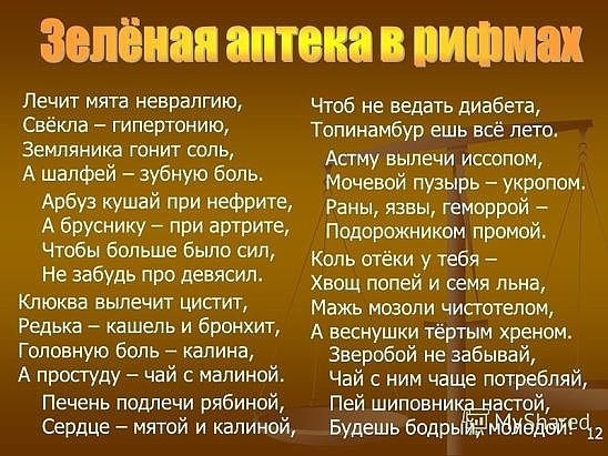 Лечит мята невралгию стих Лечит мята невралгию стих