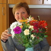 лидия беляева, 66, г.Сассари лидия беляева, 66, г.Сассари