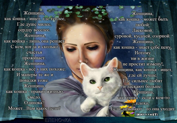Стих мужчине как котенку Стих мужчине как котенку