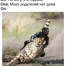 Мото , Секс , Рок-н-ролл