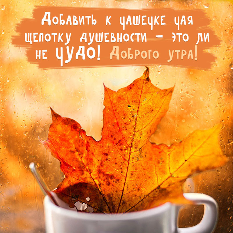 Поздравление С Осенним Добрым Утром Красивые