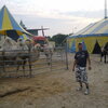 Aleksei, 41, г.Cuxhaven Aleksei, 41, г.Cuxhaven