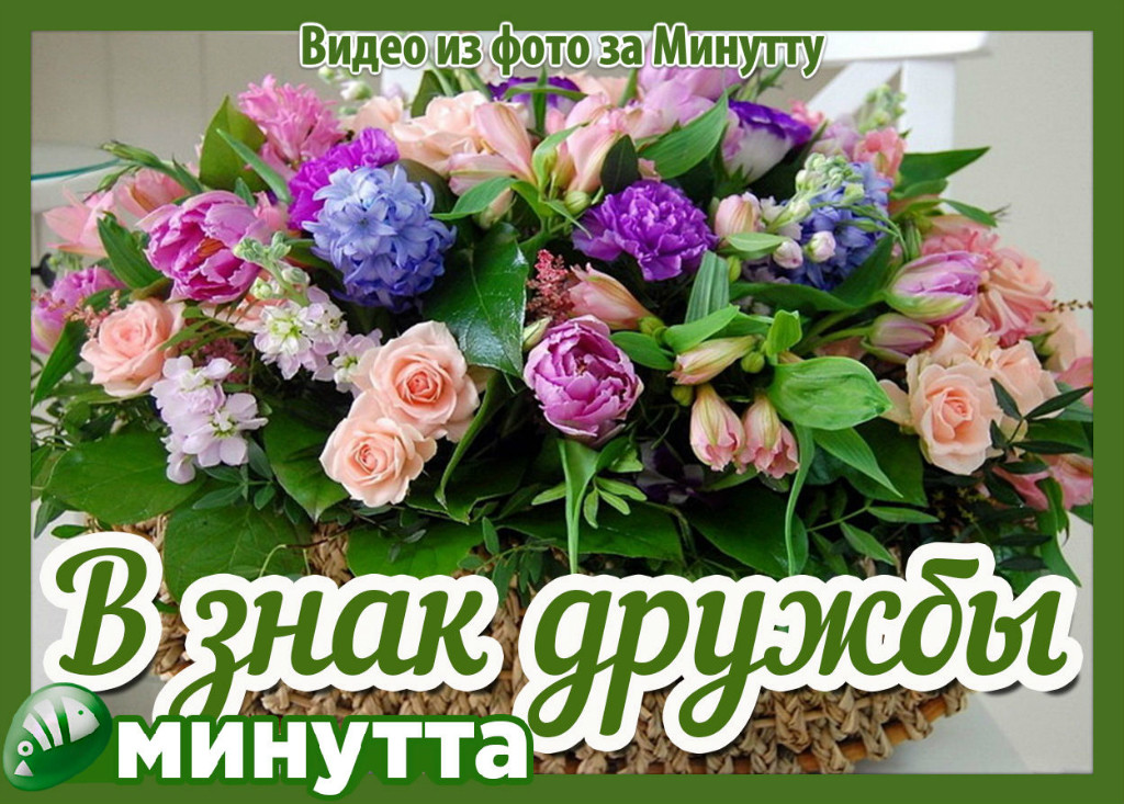 В знак дружбы открытки с В знак дружбы открытки с