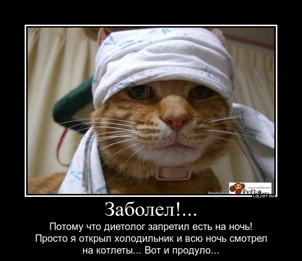 Цитата из фильма код да винчи Цитата из фильма код да винчи