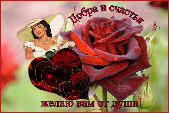 Я желаю вам всем хорошим пожеланиями Я желаю вам всем хорошим пожеланиями