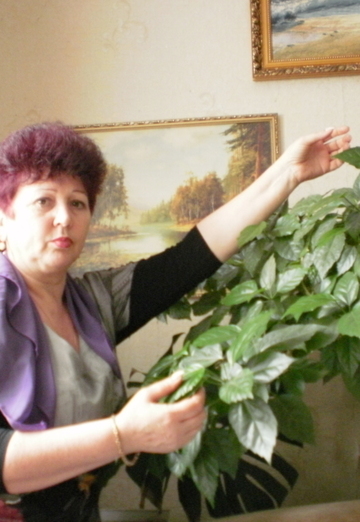 Моя фотография - валентина, 67 из Одесса (@valentina7262)