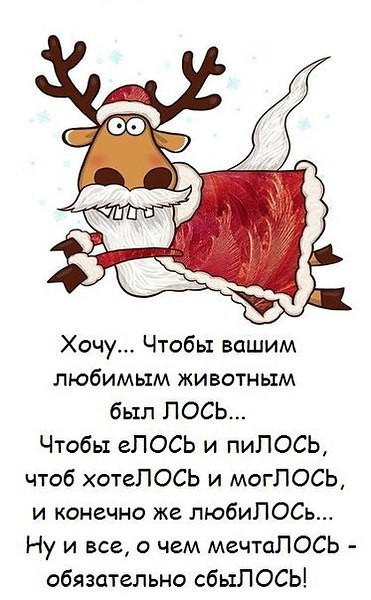 Что вы все было лось поздравление Что вы все было лось поздравление