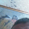 Владимир Герасимов, 42, г.Байконур Владимир Герасимов, 42, г.Байконур