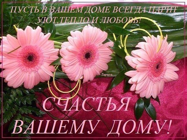 T Просмотр темы - Приколы в прозе Форум III фестиваль живой музыки "НА ГОРЕ ВЕТРОВ " 2009 скачать онлайн