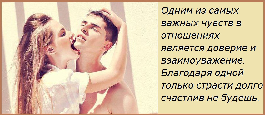 Что делать когда в отношениях пропадает страсть Вязка собак. Чистопородное разведение. Советы для владельцев
