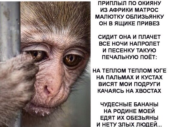 Женский мастурбатор своими руками Женский мастурбатор своими руками