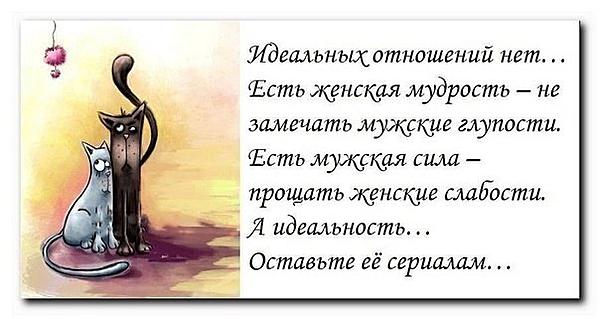 Мое отношение к жизни статусы Мое отношение к жизни статусы