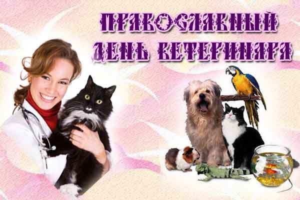 Задания для игры в фанты Дарковичи Клев32. Бесплатная и платная рыбалка в Брянске и